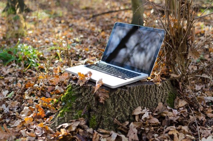 autumn-business-daylight-296085 -800x530
