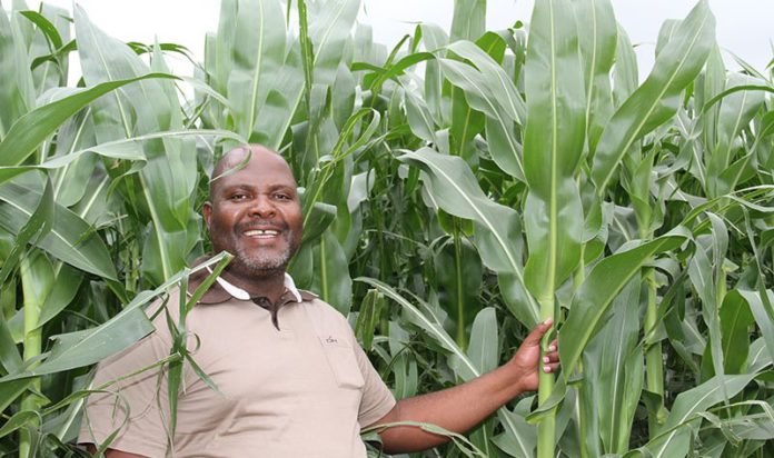 masisizane-fund-farmer-800x474