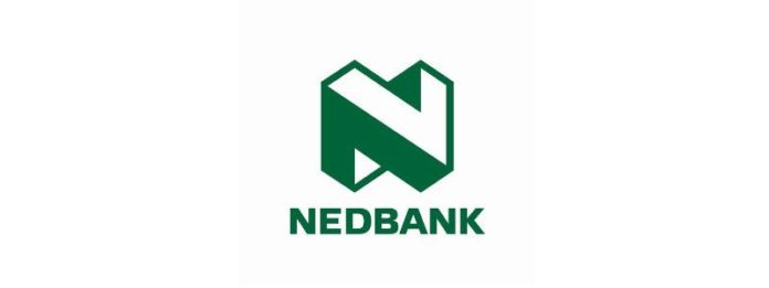 nedbank business model canvas