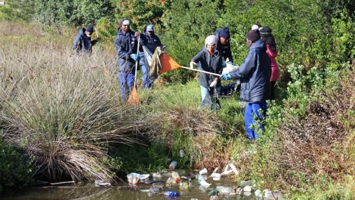 Amatola Water - Clear Rivers 2016