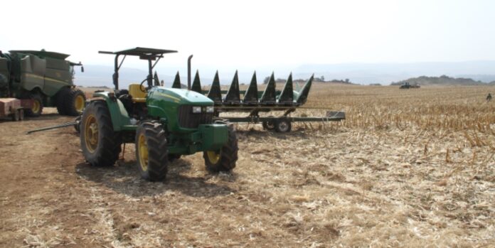 Masisizane Fund - Agriculture