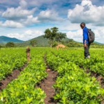 GoodNatureAgro_1