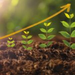 Sectors of the Economy – Eastern Cape Province