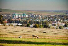 Swartland: open for opportunity