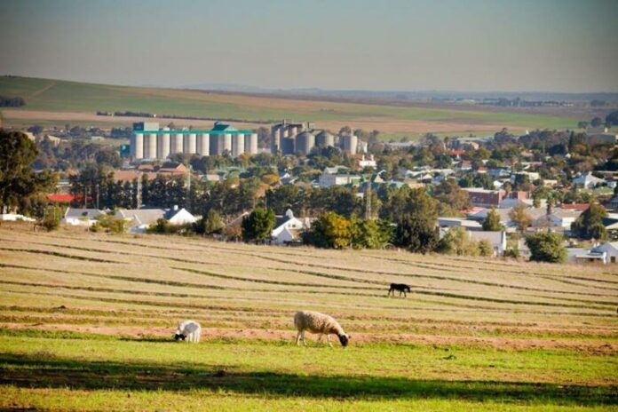 Swartland-Municipality-fb-foto-12-malmesbury-1