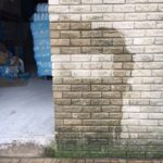 Topps Products – walls