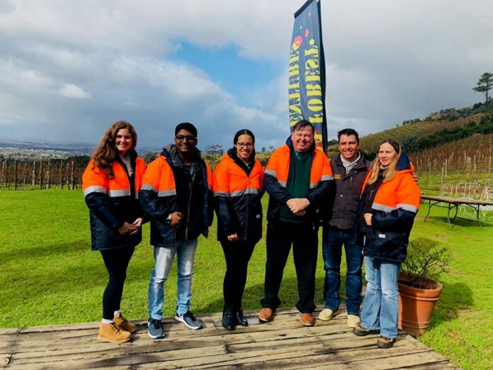 Wesgro - Cape Town Ziplines re-opens in the Mother City