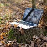 autumn-business-daylight-296085 -800×530