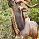 Eastern Cape Tourism