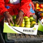 Nwanedi New Generation Cooperative NNGC