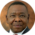 Blade Nzimande -300x