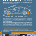 ELIDZ – advert 2018