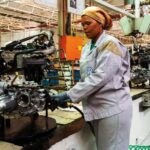 Eastern Cape – Special Feature 5 – VWSA – 803×574