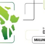 Harnessing procurement for socio-economic development in Africa