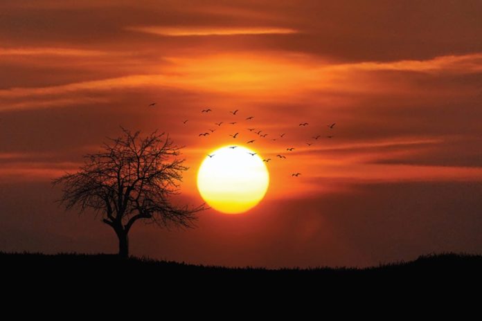 Mpumalanga - Place of the Rising Sun -800x533