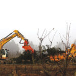 ABC-land clearing services
