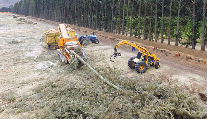 Africa Biomass Company - world leaders in the wood chipping industry