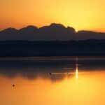 Photo by Jean van der Meulen from Pexels