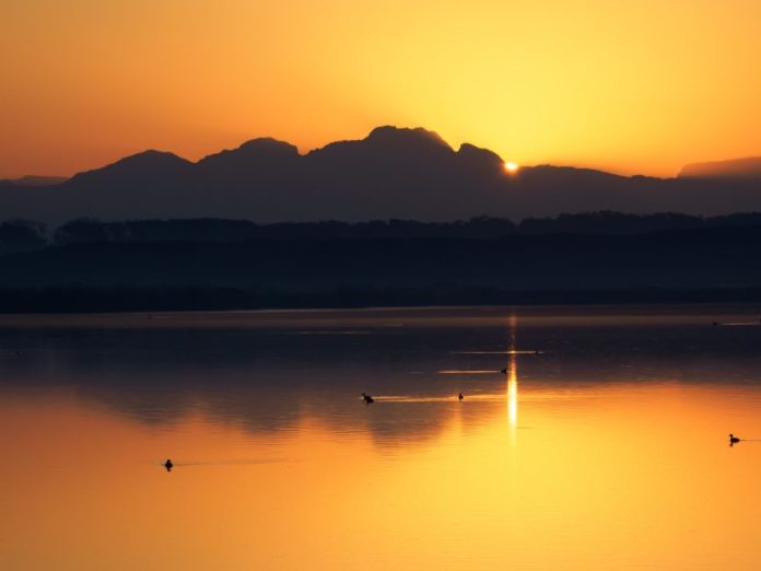 Photo by Jean van der Meulen from Pexels