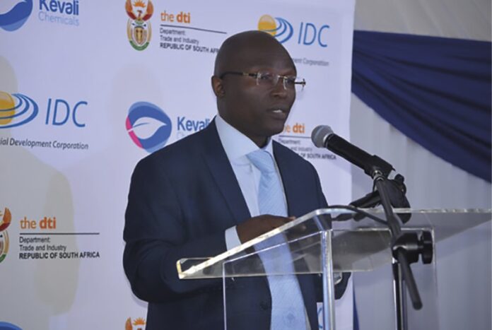 Deputy Minister Trade and Industry