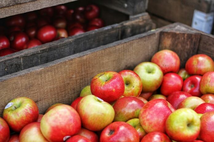 Fruit - Apples - Export
