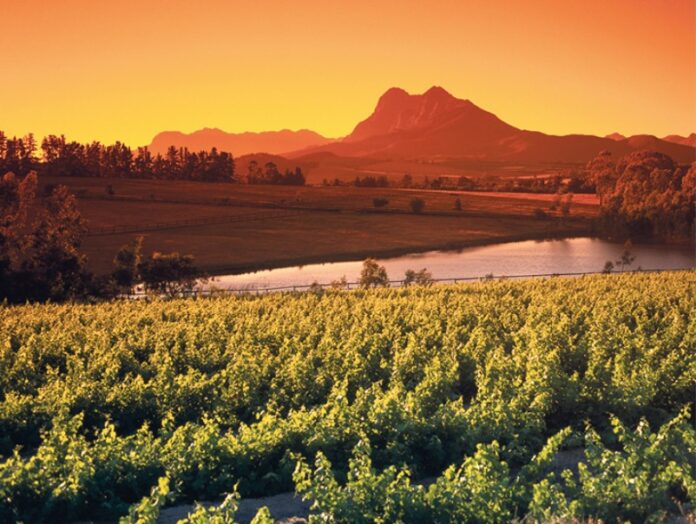 Cape Winelands District Municipality