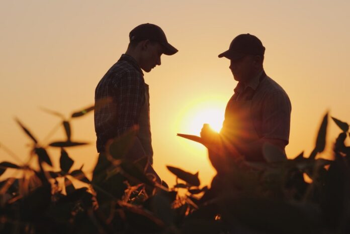 Why Now Is the Time to Invest in a Farming Business in Africa