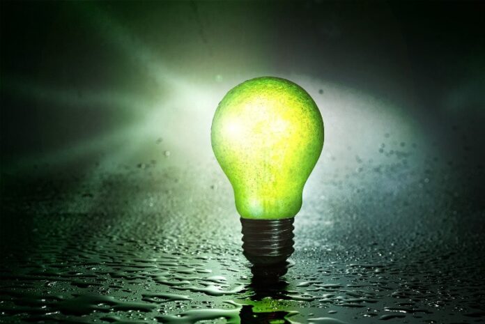 Green Energy - Biomass-to-Energy - Sustainable Power