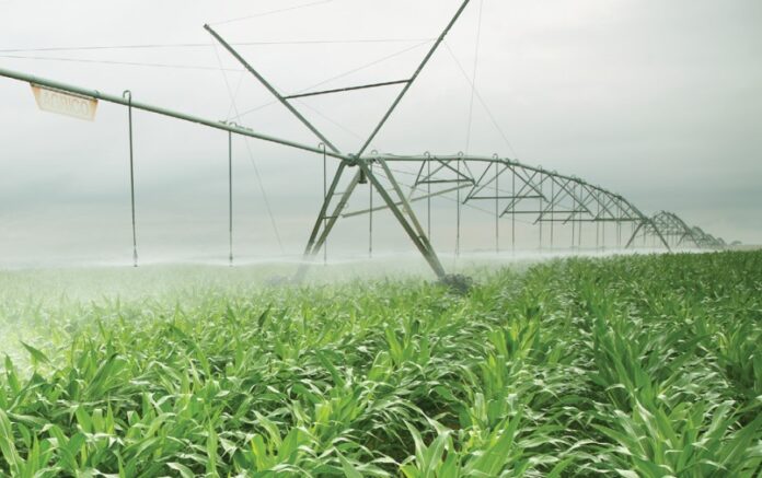 North West Province - Agriculture