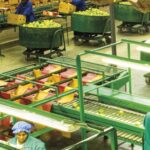 Limpopo Economic Development – LEDA