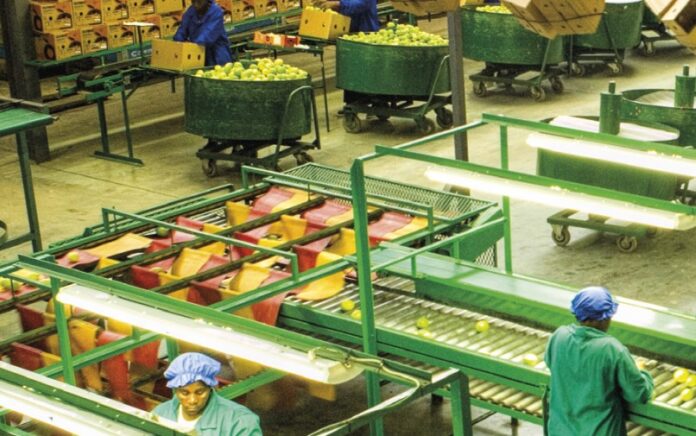 Limpopo Economic Development - LEDA