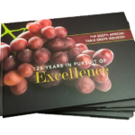 SATI – 125 Years in Persuit of Excellence