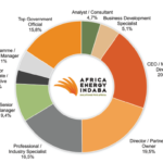 Africa Energy Indaba Attendee Profile
