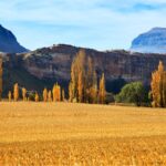 Free State Agriculture Sector