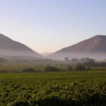 Cape Winelands DM – facebook-2-1