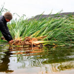 De Rust WaterWise Ways