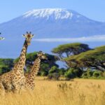 Mount Kilimanjaro in Tanzania