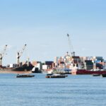 African Business – SF – Towards Free Trade -800×500