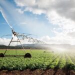 Agriculture – Irrigation – Northern Cape