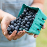 Blueberries