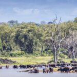 iStock-Tourism-sector-Limpopo-1-1