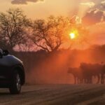Limpopo Business Tourism