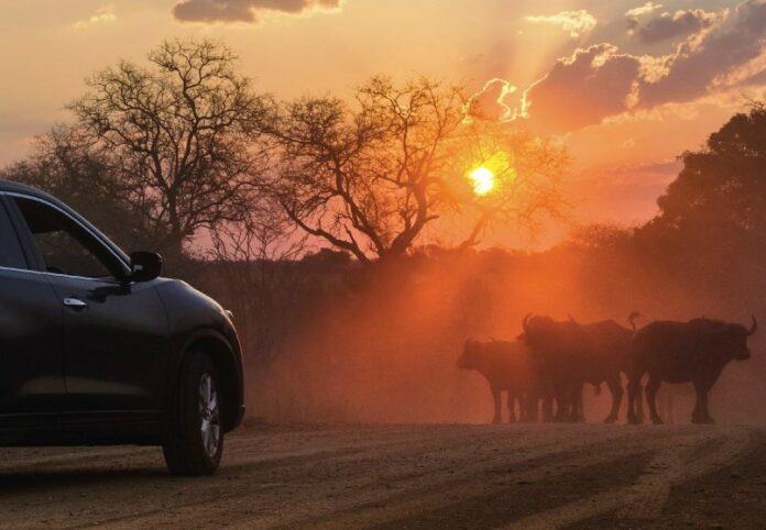 Limpopo Business Tourism