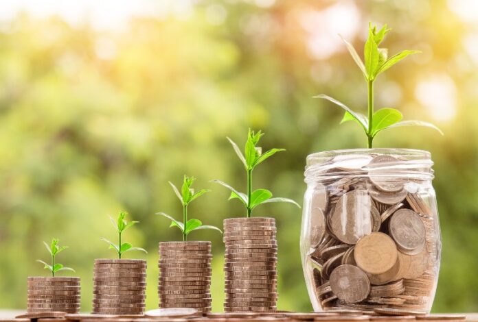 Money - Growth - Investment
