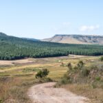 Forestry South Africa – Biodiversity 6