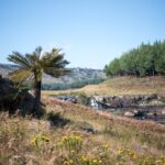 Forestry South Africa – Biodiversity 1