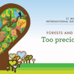 International Day of Forests 2020