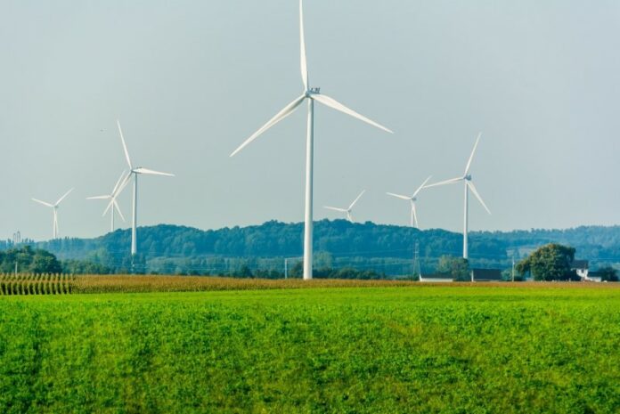 Green Energy - Sustainable - Nature