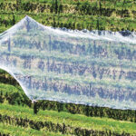 Agriculture. Laeveld_Agrochem