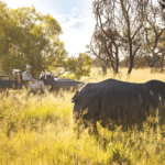Limpopo Business 2020-21 – Tourism